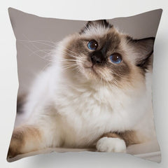 Cat Pillowcase