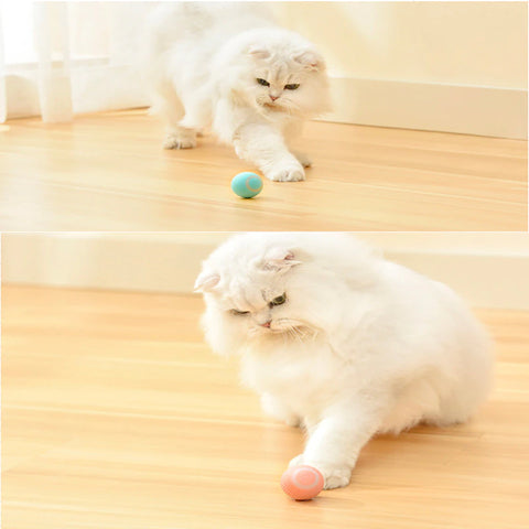 Smart Cat Toys Automatic Rotating Ball