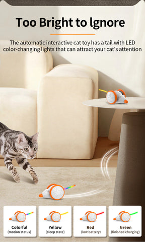Rechargeable Mice Indoor Toys For Cat Accessories