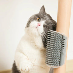 Massage Comb Pet Comb Removable