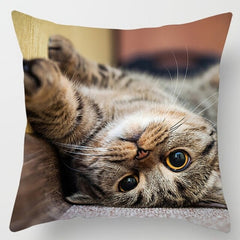 Cat Pillowcase