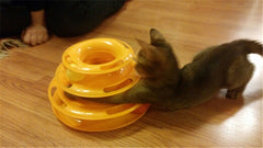 Cat Three Disc Intelligence Toy
