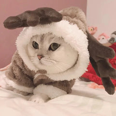 Winter Cat Clothes