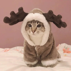 Winter Cat Clothes